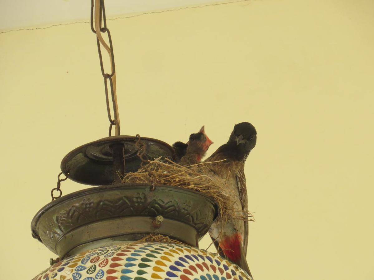 Rajputana Heritage Sawai Madhopur Zewnętrze zdjęcie