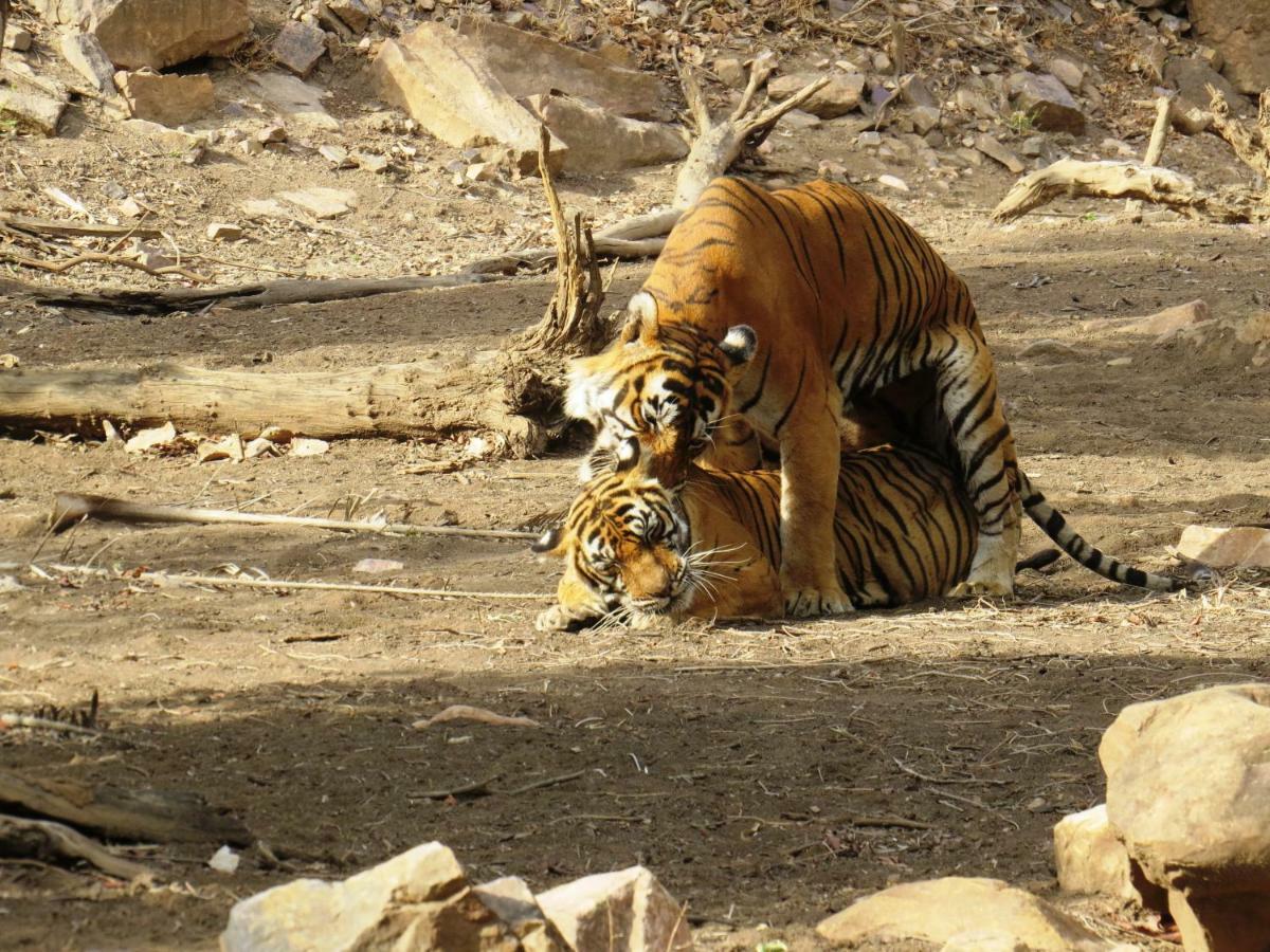 Rajputana Heritage Sawai Madhopur Zewnętrze zdjęcie