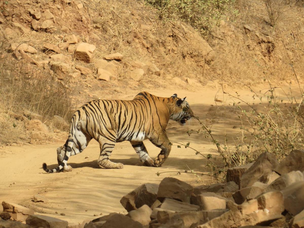 Rajputana Heritage Sawai Madhopur Zewnętrze zdjęcie